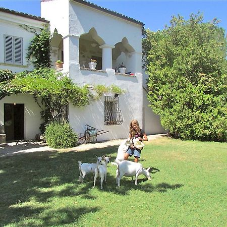 Agriturismo "Borgo Madonna Degli Angeli" - Charming Cottages In The Gardens ! Tocco da Casauria Экстерьер фото
