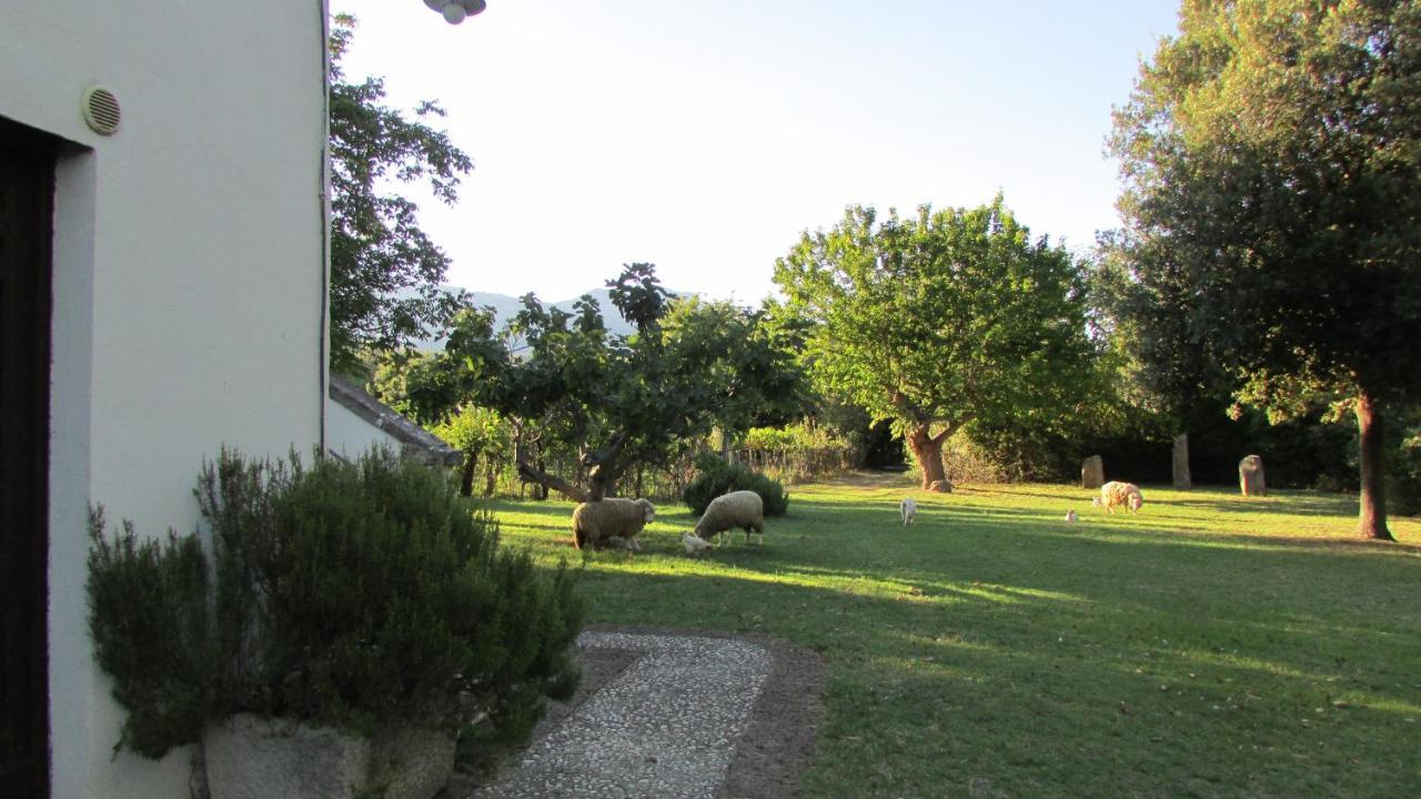 Agriturismo "Borgo Madonna Degli Angeli" - Charming Cottages In The Gardens ! Tocco da Casauria Экстерьер фото