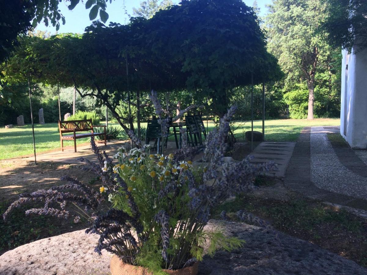 Agriturismo "Borgo Madonna Degli Angeli" - Charming Cottages In The Gardens ! Tocco da Casauria Экстерьер фото