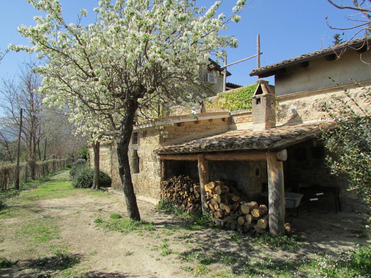 Agriturismo "Borgo Madonna Degli Angeli" - Charming Cottages In The Gardens ! Tocco da Casauria Экстерьер фото