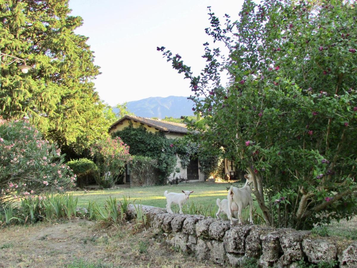 Agriturismo "Borgo Madonna Degli Angeli" - Charming Cottages In The Gardens ! Tocco da Casauria Экстерьер фото