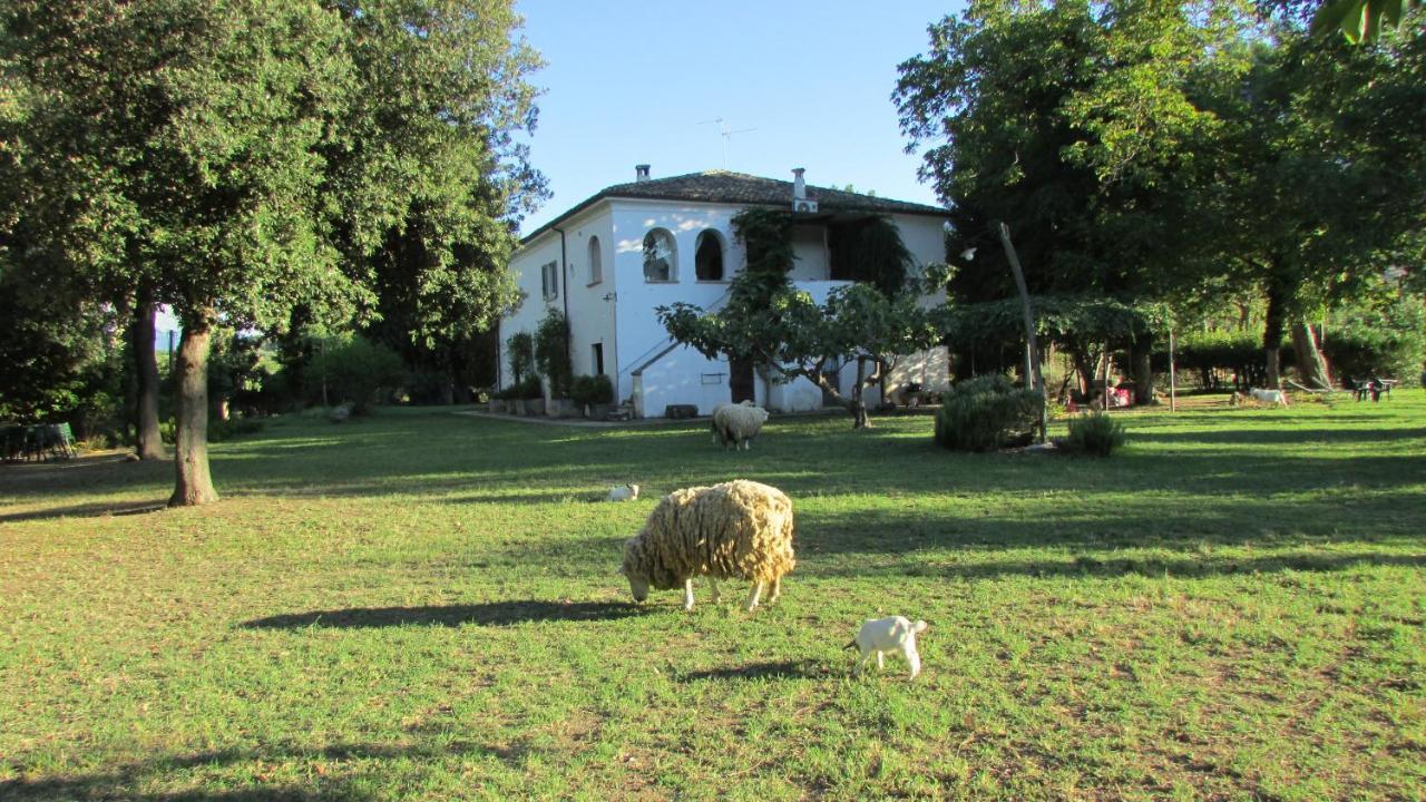 Agriturismo "Borgo Madonna Degli Angeli" - Charming Cottages In The Gardens ! Tocco da Casauria Экстерьер фото