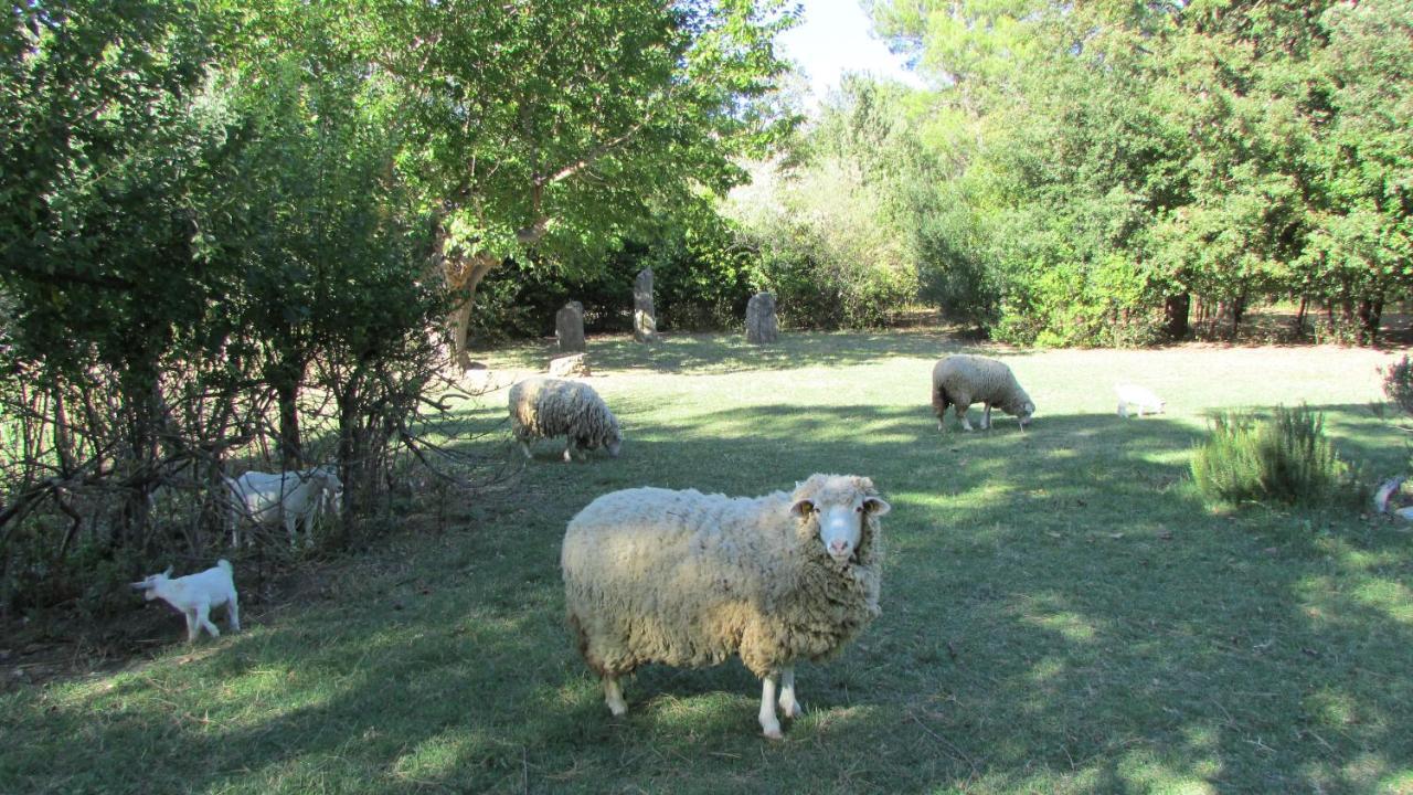 Agriturismo "Borgo Madonna Degli Angeli" - Charming Cottages In The Gardens ! Tocco da Casauria Экстерьер фото
