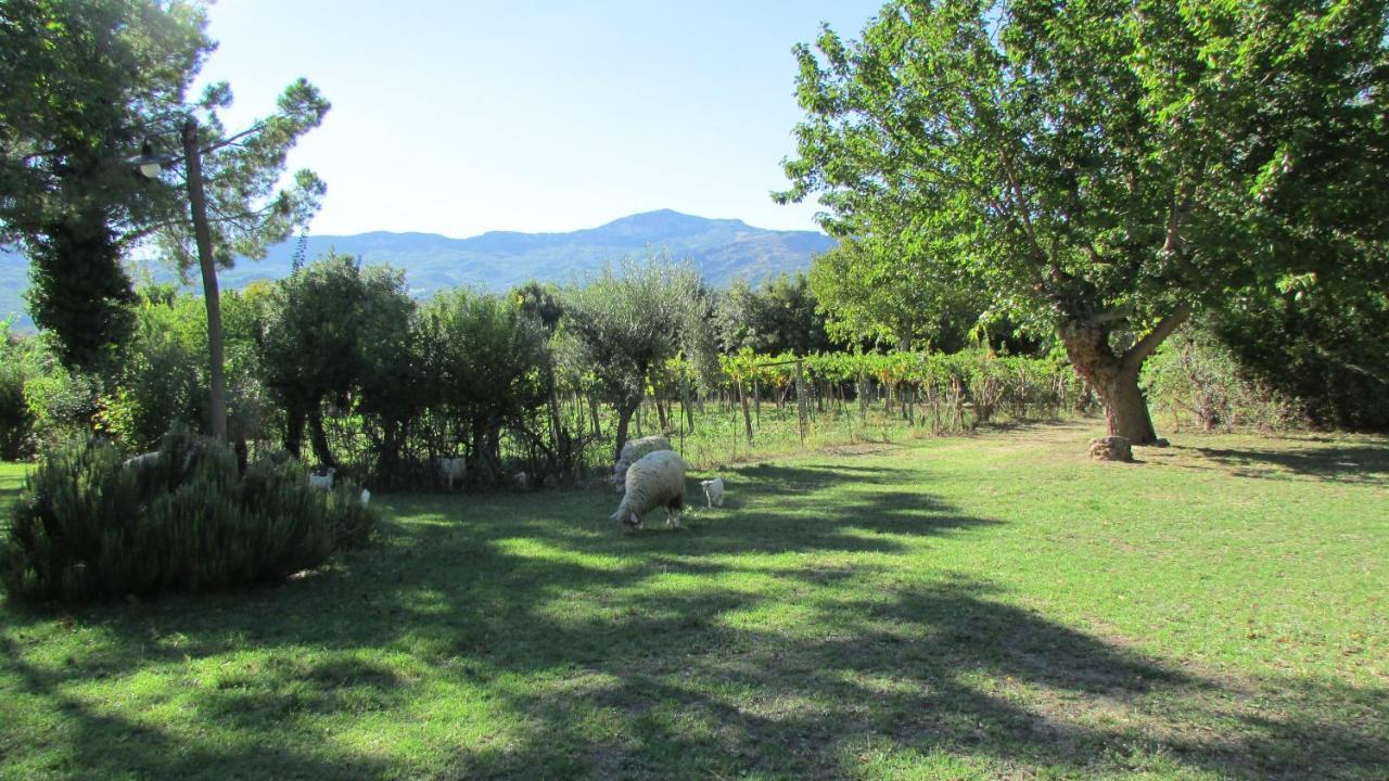 Agriturismo "Borgo Madonna Degli Angeli" - Charming Cottages In The Gardens ! Tocco da Casauria Экстерьер фото