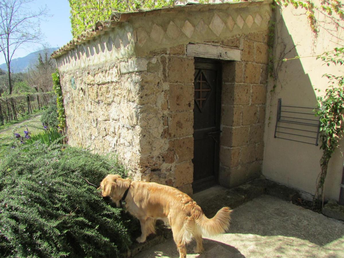 Agriturismo "Borgo Madonna Degli Angeli" - Charming Cottages In The Gardens ! Tocco da Casauria Экстерьер фото
