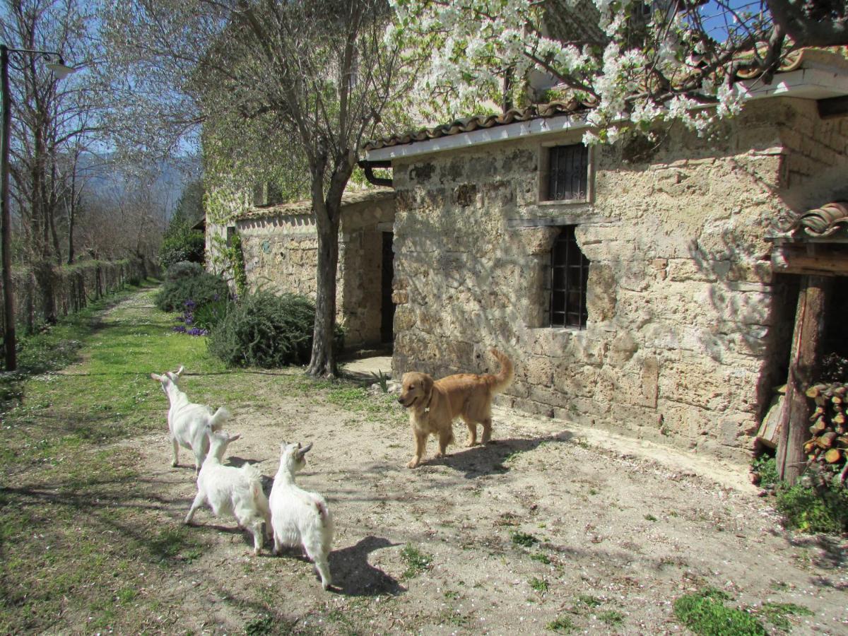 Agriturismo "Borgo Madonna Degli Angeli" - Charming Cottages In The Gardens ! Tocco da Casauria Экстерьер фото