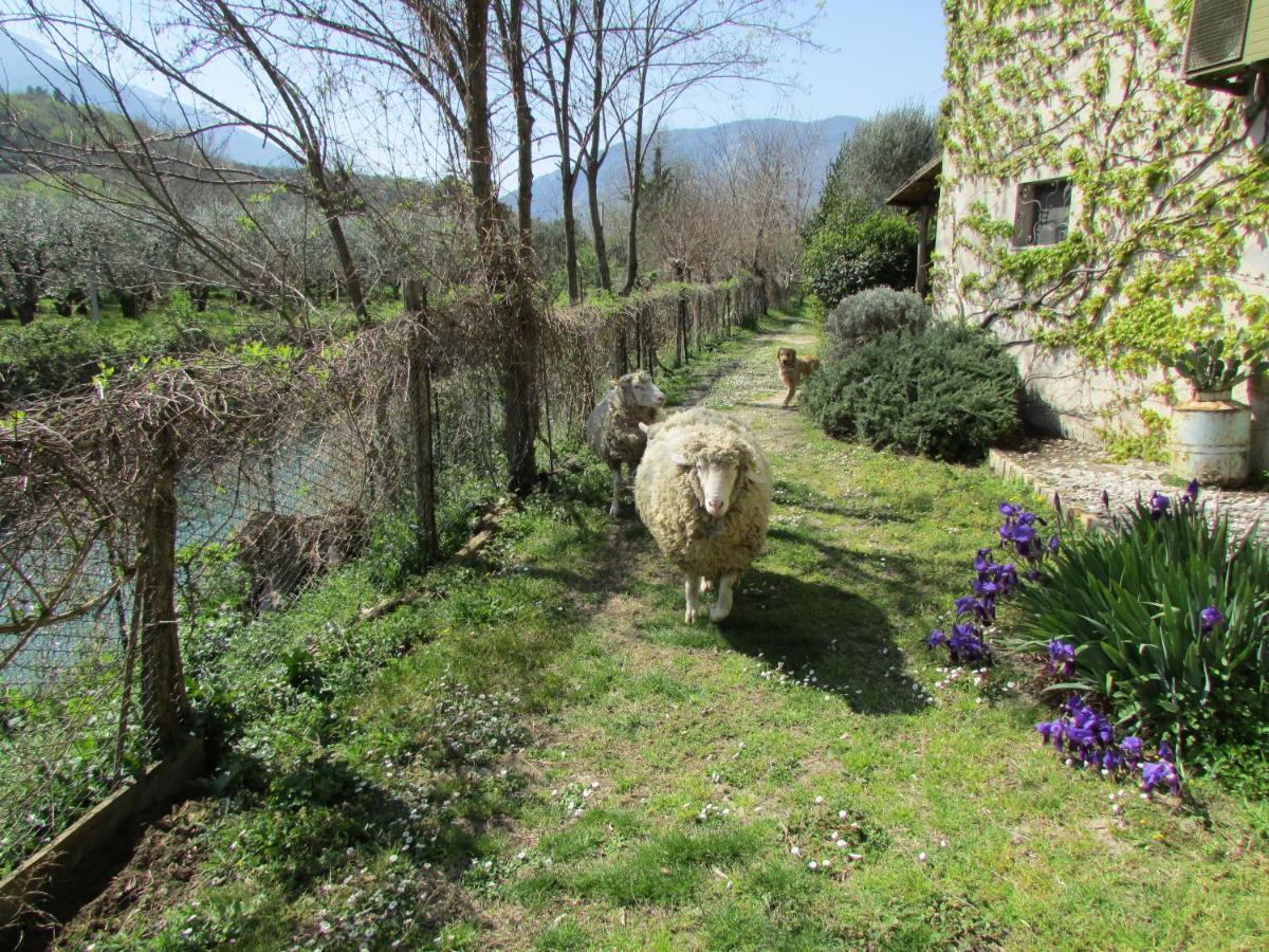 Agriturismo "Borgo Madonna Degli Angeli" - Charming Cottages In The Gardens ! Tocco da Casauria Экстерьер фото