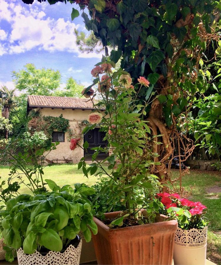 Agriturismo "Borgo Madonna Degli Angeli" - Charming Cottages In The Gardens ! Tocco da Casauria Экстерьер фото