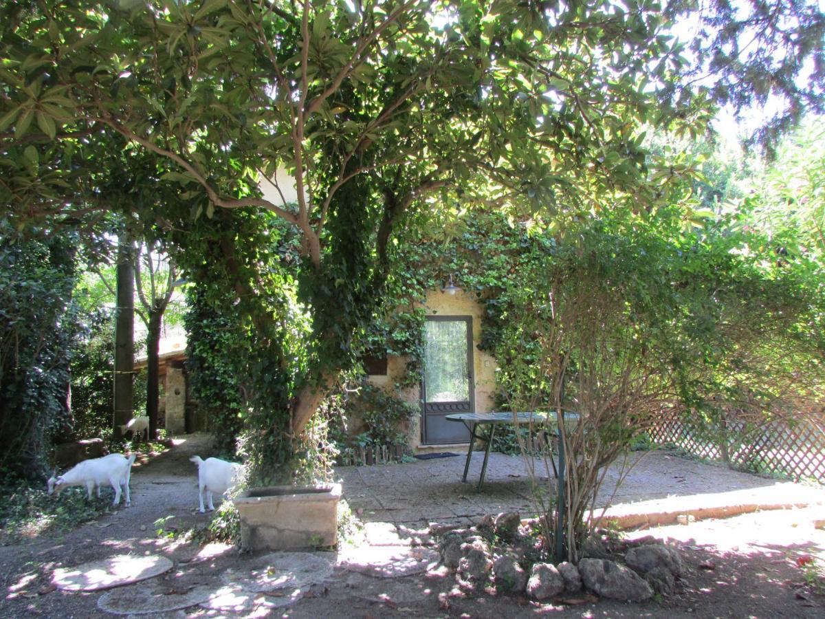Agriturismo "Borgo Madonna Degli Angeli" - Charming Cottages In The Gardens ! Tocco da Casauria Экстерьер фото
