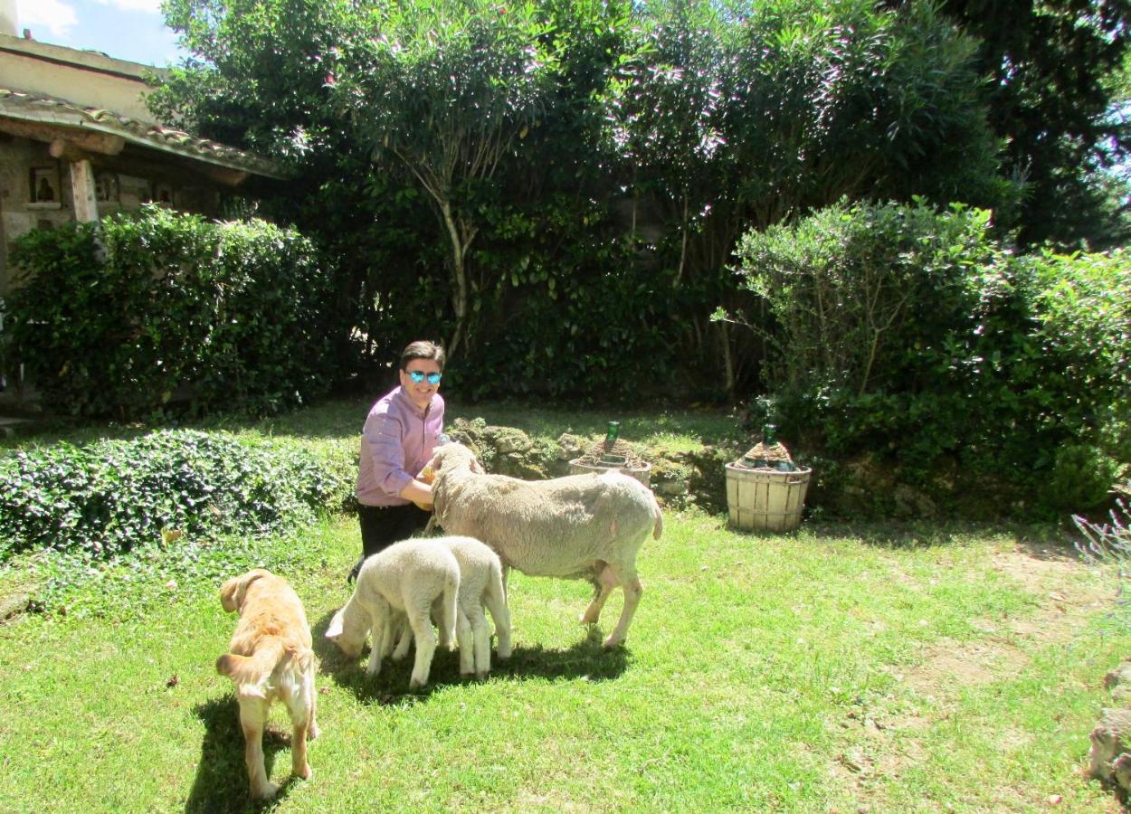 Agriturismo "Borgo Madonna Degli Angeli" - Charming Cottages In The Gardens ! Tocco da Casauria Экстерьер фото