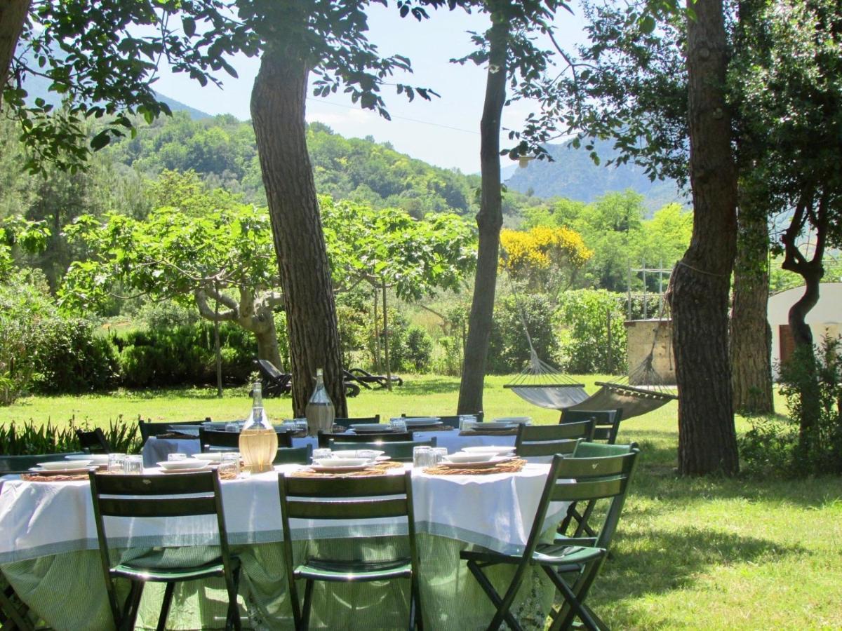 Agriturismo "Borgo Madonna Degli Angeli" - Charming Cottages In The Gardens ! Tocco da Casauria Экстерьер фото