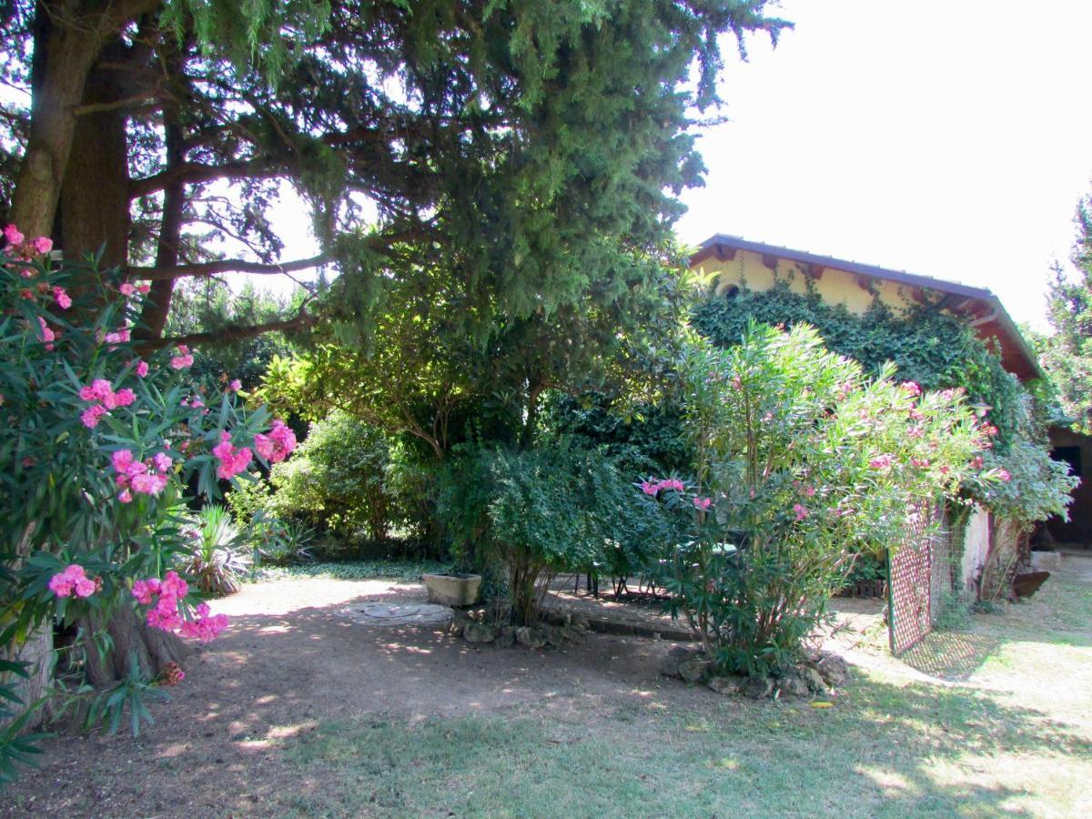 Agriturismo "Borgo Madonna Degli Angeli" - Charming Cottages In The Gardens ! Tocco da Casauria Экстерьер фото