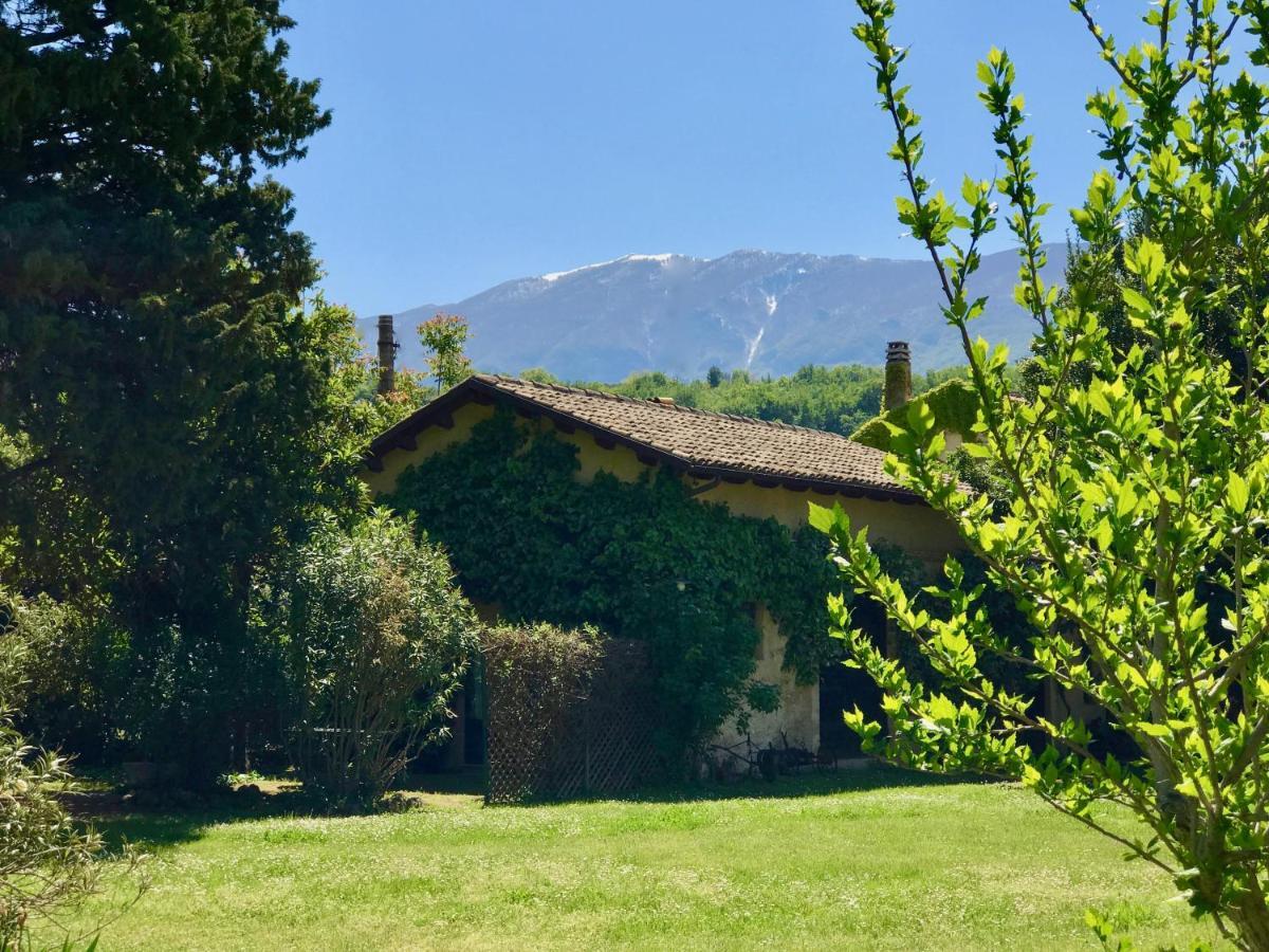 Agriturismo "Borgo Madonna Degli Angeli" - Charming Cottages In The Gardens ! Tocco da Casauria Экстерьер фото