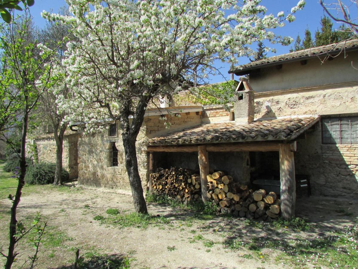 Agriturismo "Borgo Madonna Degli Angeli" - Charming Cottages In The Gardens ! Tocco da Casauria Экстерьер фото