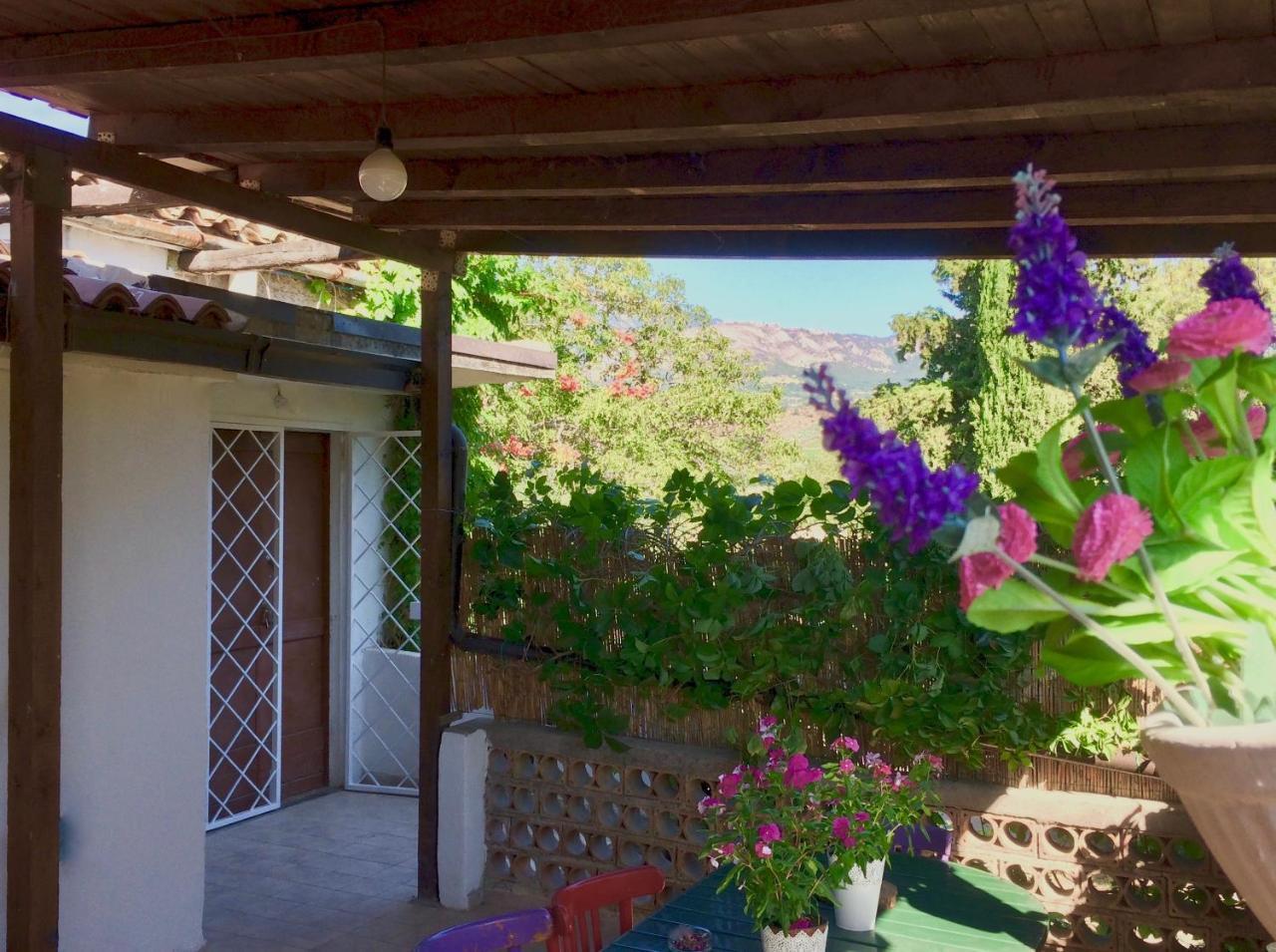 Agriturismo "Borgo Madonna Degli Angeli" - Charming Cottages In The Gardens ! Tocco da Casauria Экстерьер фото